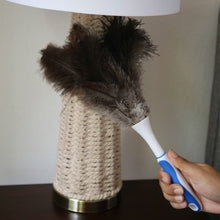 Load image into Gallery viewer, FEATHERHEAD Ostrich Duster Cleaning Lamp