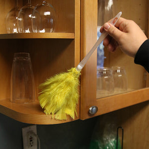 Turkey Feather Duster Cleaning Kitchen Cabinet